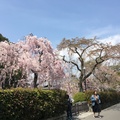 京都南禪寺