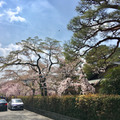 京都南禪寺