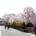 京都南禪寺