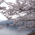 京都滋賀縣琵琶湖