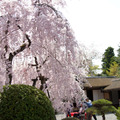 京都南禪寺