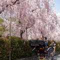 京都南禪寺