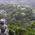 桐遊土城(2014桐花祭)