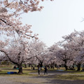 京都嵐山渡月橋