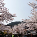 京都嵐山渡月橋