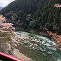 京都嵐山渡月橋