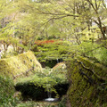 京都三千院