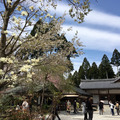 京都三千院