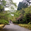京都二尊院