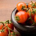 2013年全球番茄產值是962.8億美元。但近幾年消費者常常抱怨番茄沒有以前的味道，也沒有以前好吃