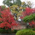 五顏六色的秋天景致