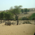 衝沙越野車看沙漠景觀