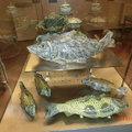 博物館內展出的陶藝品