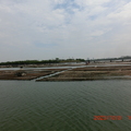 台江內海的蚵棚