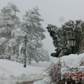 彼得羅瓦拉丁要塞的雪景