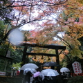 曾在「源氏物語」中出現的野宮神社