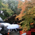 好小的「野宮神社」