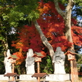 屋島寺的石雕