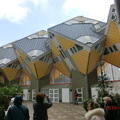 鹿特丹市區的方塊屋