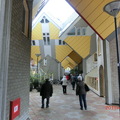 鹿特丹市區的方塊屋