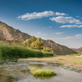沙烏地阿拉伯的河流