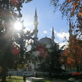 提拉納的清真寺