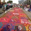 安地瓜路上的花毯