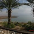 死海東岸以色列的 Kalia beach