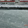 網走港口的海上流冰
