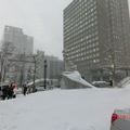 札幌大通會場的雪景