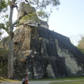 瓜地馬拉Tikal的馬雅金字塔側面
