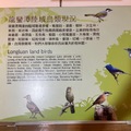 龍鑾潭陸域鳥類現況圖