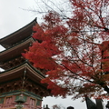 清水寺入口處的楓紅