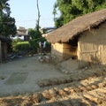 尼泊爾的農村