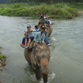 大象載客渡河