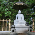菩提樹旁佛陀像