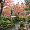 五顏六色的日本庭園景觀