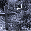 墓園20130310