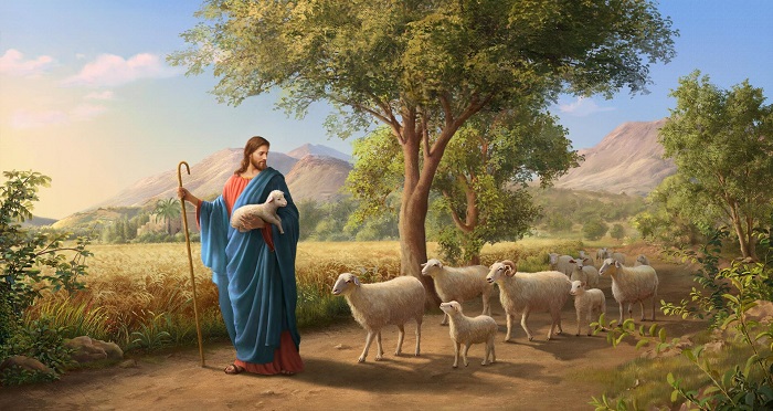 神的羊聼神的聲音