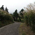 夢幻湖 七星公園