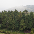 夢幻湖 七星公園