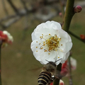 角板山公園