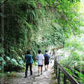 【旅行ing】－ 砂卡噹祕境尋幽
這群來自台北的遊子，在森林茂密之中，走向歸途。