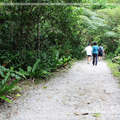 【旅行ing】－ 砂卡噹祕境尋幽
這群來自台北的遊子，在森林茂密之中，走向歸途。