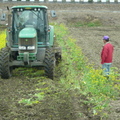 2012,01,29 11:20 FX50 鐵道旁稻田第二次翻土，油菜花田翻土，爸爸看翻土機翻田梗旁，就像跟耕種稻子一樣認真。