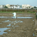 2012,12,07 10:43 FX50 102年稻作第一次翻土完成，挖田角，挖田角就是挖翻土機翻不到的地方，也順便做田梗。