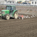 2013,01,25 14:36 G10 第二次翻土，乾田翻土，鐵道旁稻田。