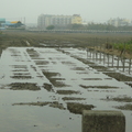 2012,02,12 11:03 FX50 第一塊田水滿了，繼續往下一塊田流，水源頭至這邊350公尺遠，現在繼續往下流。