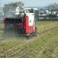 2012,11,10 12:22 FX50 101年第二期旺農好米成長第一百一十三天，收割囉。