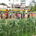 2012,12,25 10:37 G10 小朋友帶著自已的種的菜回學校囉。